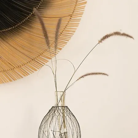 Flora (adults Only) Naxos City