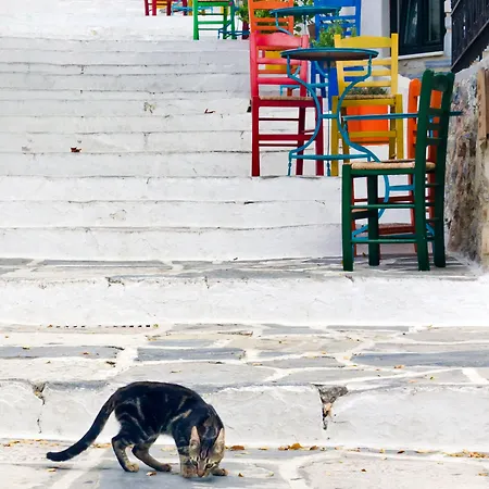 ホテル Flora (adults Only) Naxos City