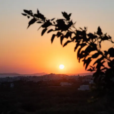 弗洛拉别墅酒店 酒店 Naxos City