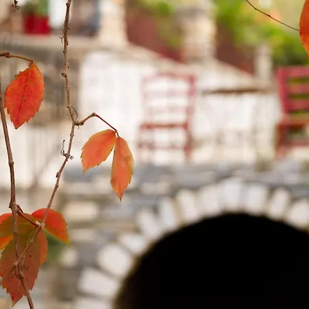 Flora (adults Only) Hotel Naxos City