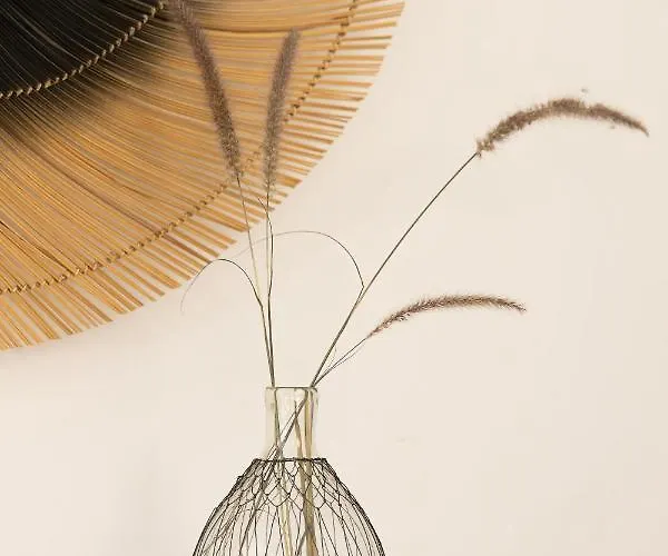 Flora (adults Only) Naxos City