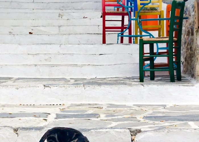 Отель Flora (adults Only) Naxos City